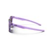 Julbo Elwood Violet-violet S3Cp J5841126 Friluftsbua 3