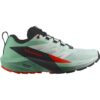 Salomon Sense Ride 5 W L47698300 Friluftsbua 1