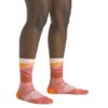 Darn Tough Horizon Micro Crew Ultra-Lightweight With Cushion DT1064 Friluftsbua 3