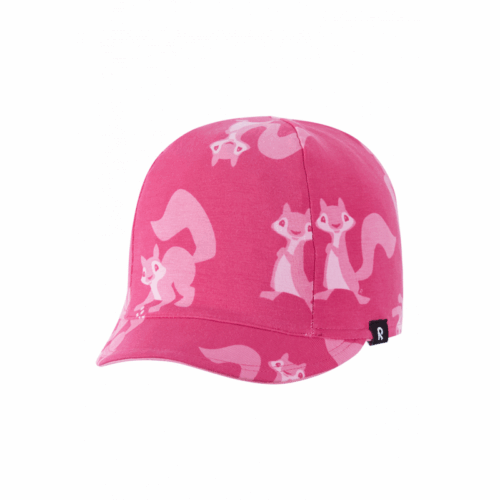Reima Caps Kilppari 5300161C-3614 Friluftsbua 1